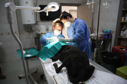 Cingöz artık göremeyecek