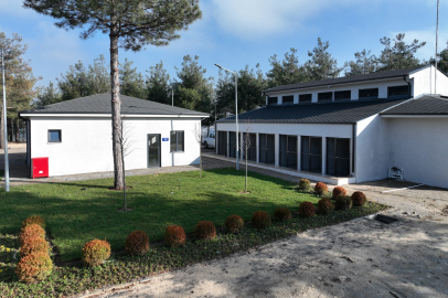 Can dostlara modern yeni yuva