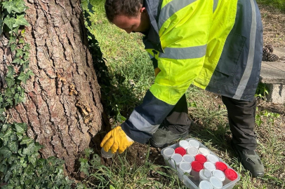 Uludağ Üniversitesi'nin ormanları “terminatör” ile korunuyor