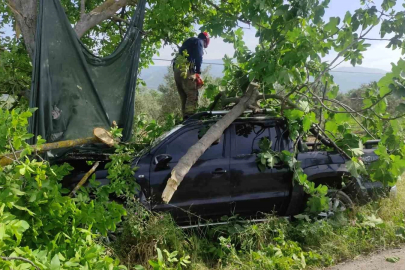 Bursa’da kontrolden çıkan kamyonet ağaca çarptı