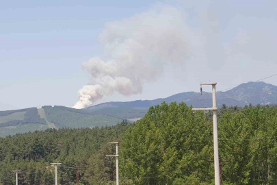 Bursa’da orman yangını!
