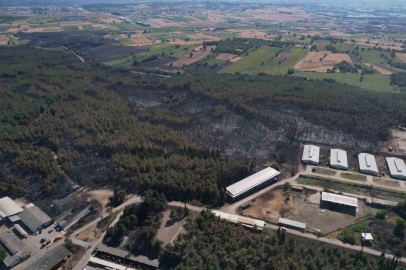 Bursa'nın ciğerleri küle döndü!