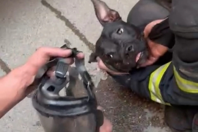 İtfaiyeden hayat kurtaran müdahale