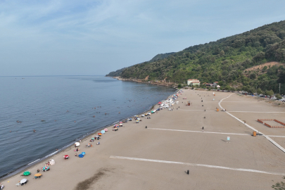 Bursa sahillerinden sevindiren haber