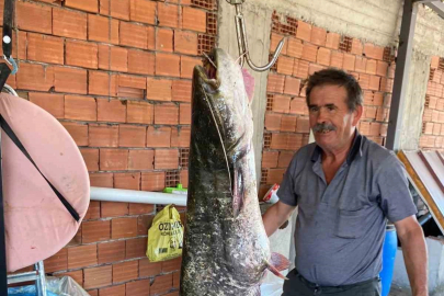 Bursa'da barajdan 87 kiloluk balık çıktı