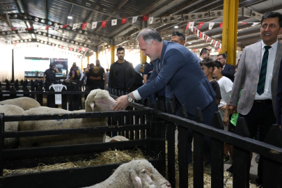 Bursa'da düzenlenen Küçükbaş Hayvancılık Festivali'nin tarihi belli oldu