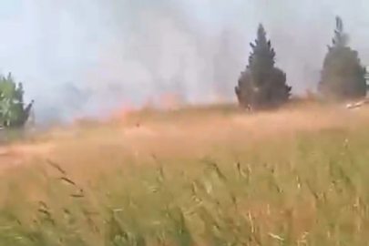 Bursa'da çıkan yangın vatandaşı korkuttu