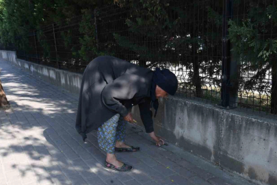 82 yaşındaki Nefise teyzeden örnek çevre hareketi