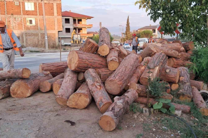 Virajı alamayan kamyon, tomrukları yola saçtı