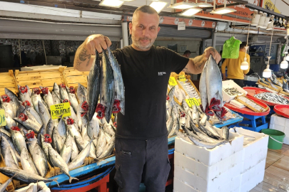 Palamut irileşti, fiyatı yüz güldürdü