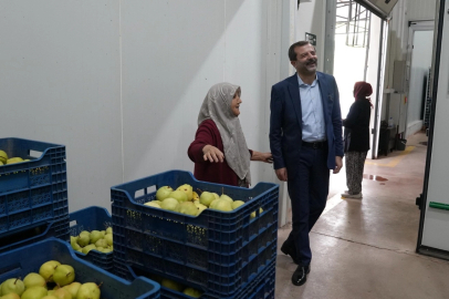 Hayriye teyze Gürsu armudu ile girişimci oldu