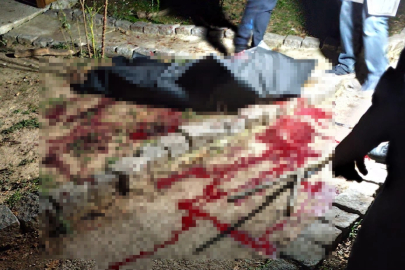 Çiftlik sahibi çobanı av tüfeğiyle öldürdü