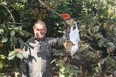 Bahçeden hurma toplayıp parasını poşet içinde ağaca astı