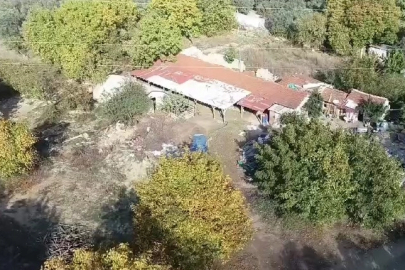 Bursa'da zeytin hırsızlarına dronlu denetim