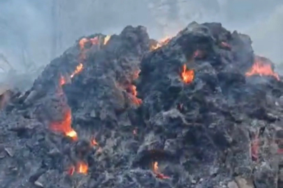 Kütahya'da 7 ev 4 hayvan barınağı kül oldu