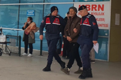 Yasadışı kenevir yetiştiren 73 yaşındaki şahıs yakalandı