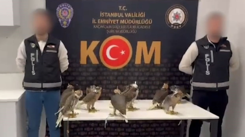 Arap şeyhlerinin tanesine 100 bin dolar verdiği 10 gökdoğan kuşu havalimanında yakalandı