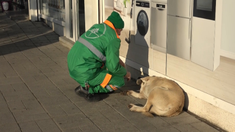Belediye çalışanının köpekle keyifli vakit geçirmesi içleri ısıttı