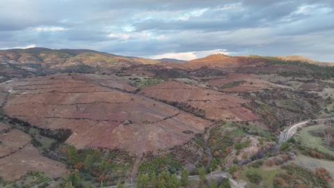 Bursa'da ormanlar küllerinden doğuyor