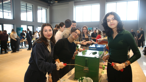 Eski oy sandıkları kedilere yuva oldu