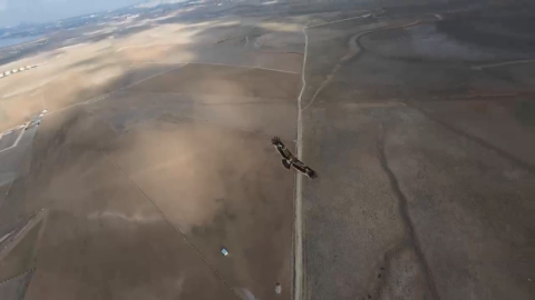 Çekim yapan dron şahinin radarına takıldı