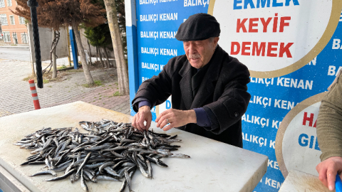 Havalar soğudu, balıklar lezzetlenip ucuzladı
