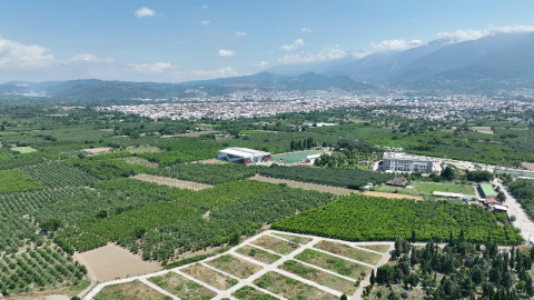 GÜRSU BELEDİYESİ TARIMSAL DÖNÜŞÜMÜN ÖNCÜSÜ OLUYOR