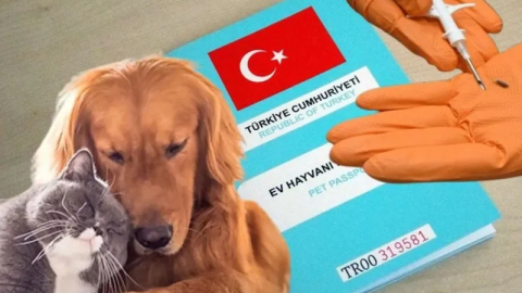 Kimliklendirilmeler yıl sonuna uzatıldı!