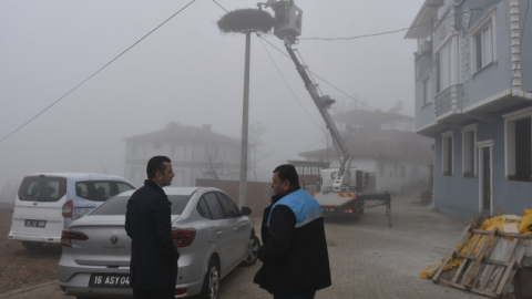 Karacabey'deki leylek yuvalarında geleneksel temizlik devam ediyor