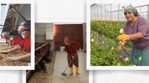 IPARD III 5 farklı kategoride can suyu olacak