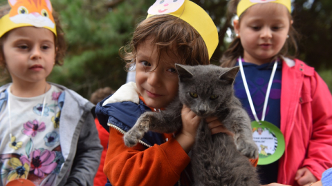 Yıldırım'da 625 patili dost sıcak yuvaya kavuştu