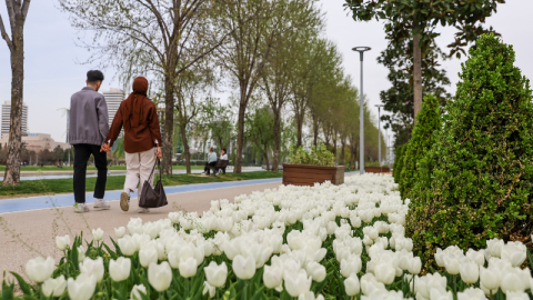 Büyükşehir, parkları lale ve çiçeklerle renklendirdi