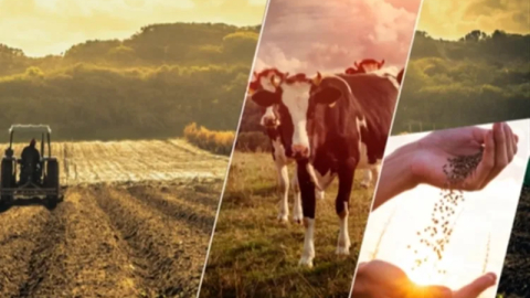 5,6 milyar TL'lik destekleme ödemeleri yapılıyor