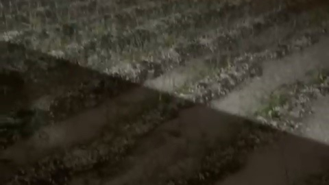 Bursa'da dolu yağışı fidelere zarar verdi