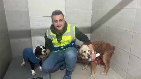 Bursa Büyükşehir, bayramda da can dostların yanında