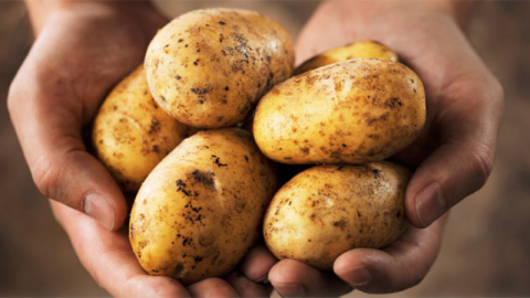 Mart'ta en çok patates pahalandı