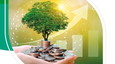Bankalar 'yeşil varlık oranını' raporlaştıracak