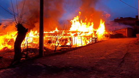 Bursa'da bir köye panik yaşatan yangın