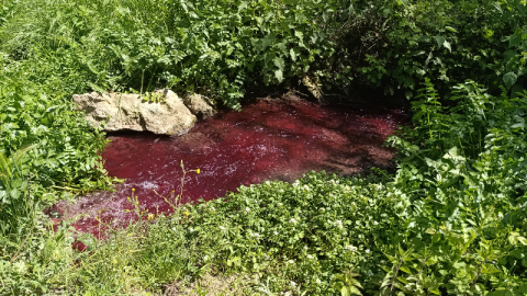 Bursa'da bu dere ‘kan' ağlıyor