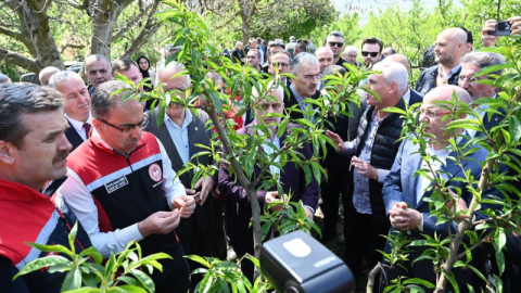 Bakan Yardımcısı Gümen: "Bazı yerlerde yüzde 10, bazı yerlerde ise yüzde 100 hasar oranı var"