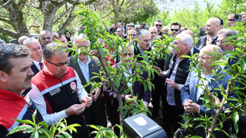 Bakan Yardımcısı Gümen: "Bazı yerlerde yüzde 10, bazı yerlerde ise yüzde 100 hasar oranı var"