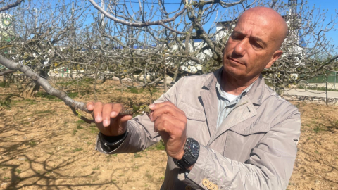 Zirai don Bursa siyahını çok etkilemedi