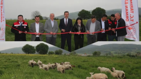 Bursa’da mera ıslahıyla hayvancılık güçleniyor