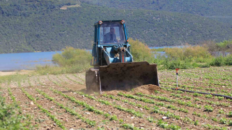 Devlet çiftçiye "ekin" diyor, DSİ ekili alanları düzlüyor