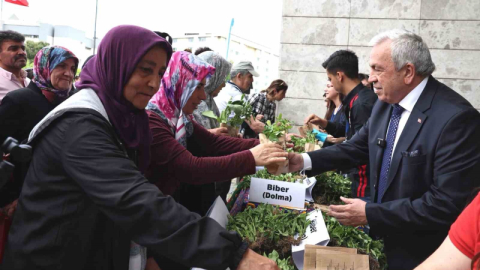 Nilüfer’de vatandaşlara 310 bin fide dağıtılacak