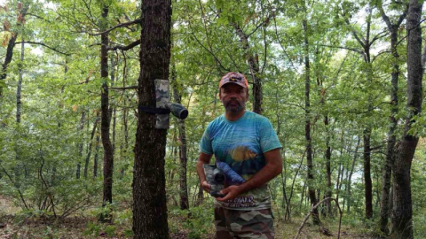 Bursalı doğa sevdalısı,  yaban hayatını kaydediyor.