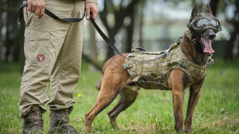 Vatan savunması can dostlara emanet