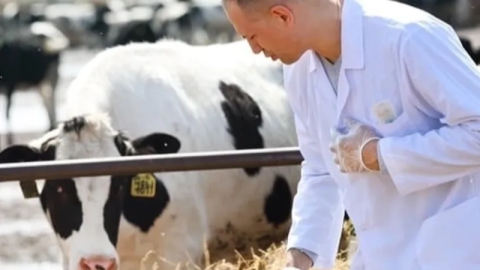Veteriner harcamaları revaçta