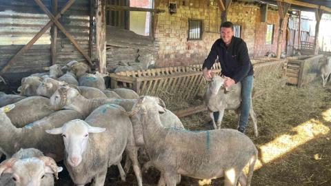 Kurbanlıkları satıp kazancıyla evlenecek