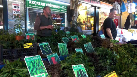 Fide tezgahları hareketlendi